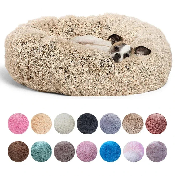 Petit chien couché dans le lit rond moelleux en peluche beige, et les coloris disponibles