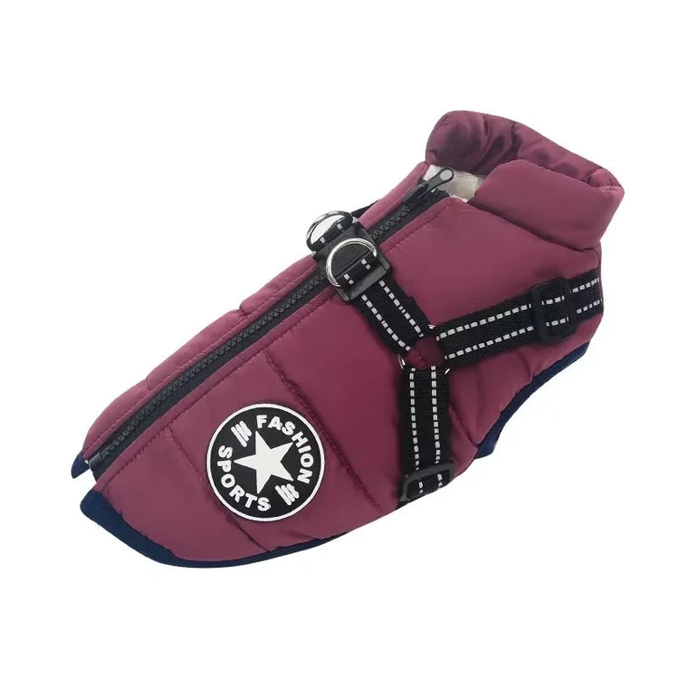 Manteau d'hiver pour chien avec harnais intégré, coloris violet