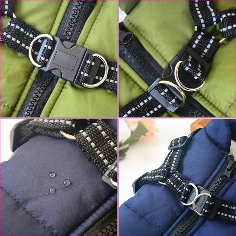 Gros plan sur le harnais intégré, la boucle et les bandes réfléchissantes du manteau pour chien