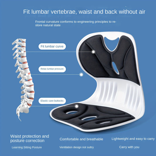 Chaise Ergonomique avec Soutien Lombaire – Bureau & Confort